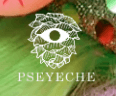 PsEYEche Logo