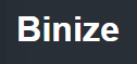 Binize Logo