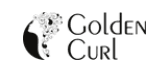 Golden Curl Logo