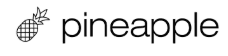 Pineapple Builder Logo