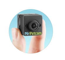 Mr Petcam