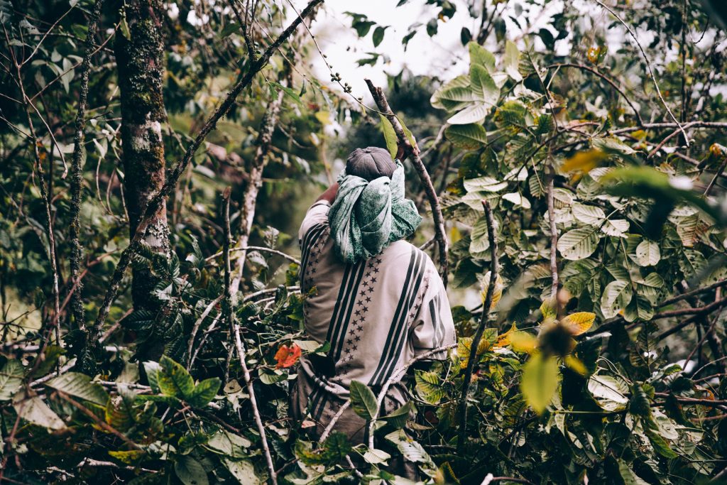 man-wearing-loose-clothing-walks-through-jungle
