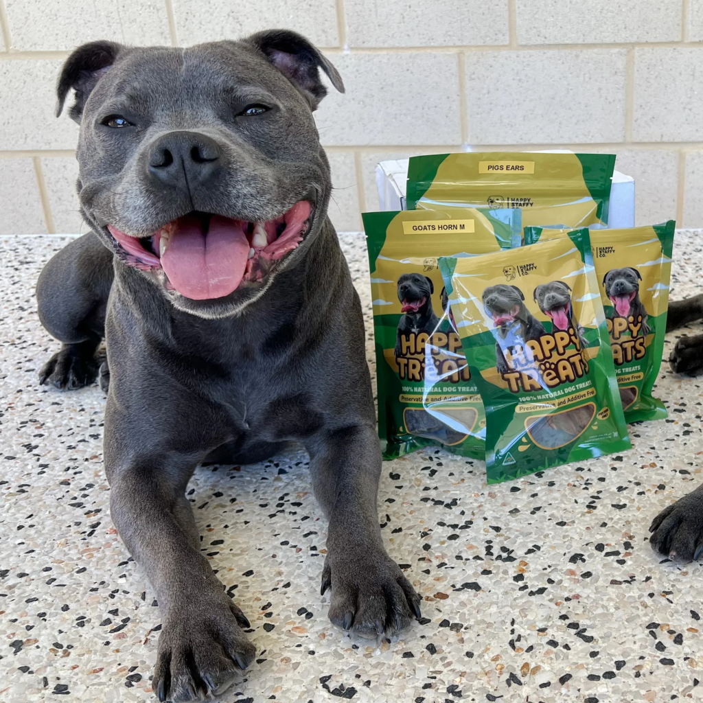 Happy_Staffy_35041d40-3256-4dbe-9a75-215d5e629356