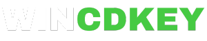 Wincdkey Logo