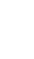 Basn Logo