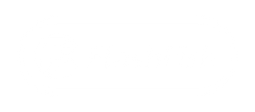 Flashfish Logo