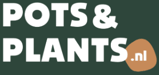 Plant N Pots Logo