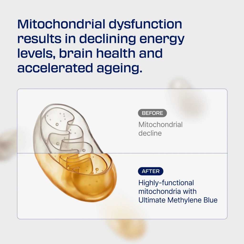 Healthletic Quality: What Sets Them Apart?